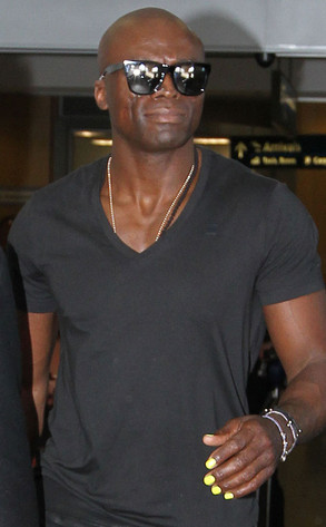 Seal Seal